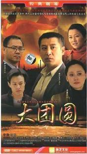 曹力 师小红 励志怀旧电视剧 8DVD 正版 宋佳 大团圆 原装