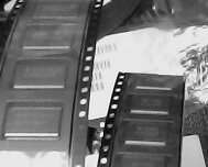 供应74HC86D,SN74HC86DR,74HC86,74HC86N,74ls86