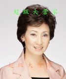 Extension cheveux - Chignon - Ref 249020 Image 13