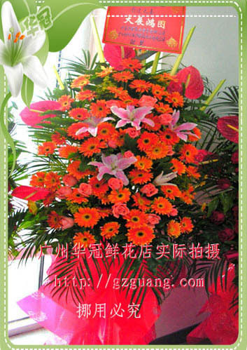BL042日进万两/乔迁花蓝/商务用花
