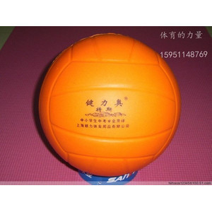 Ballon de volley - Ref 2012450 Image 1
