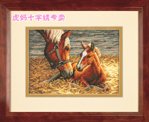 DMC十字绣动物ZP279晨曦的爱 马 中格horse cross stitch