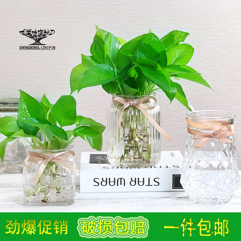 欧式简约透明花瓶创意玻璃客厅办公室摆件水培绿萝富贵竹花瓶