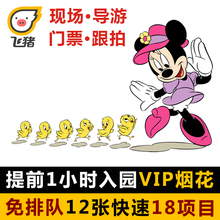 上海迪士尼乐园vip免排队门票尊享早享卡导游快速通行证通道33fp
