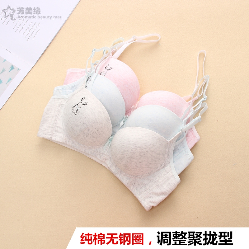 少女无钢圈调整聚拢防外扩纯棉文胸学生大码发育期卡通舒适内衣罩在类目 女士内衣/男士内衣/家居服, 文胸中 - 来自Buy2taobao.com提供专业的淘宝代购服务