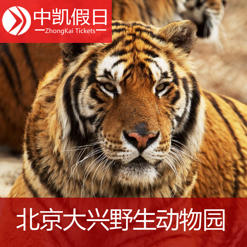 [北京野生動物園-大門票]北京野生動物園 大興野生動物園在類目 景點門票/實景演出/主題樂園, 國內票務中 - 來自Buy2taobao.com提供專業的淘寶代購服務