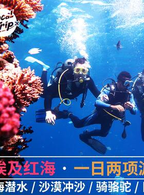 红海一日游