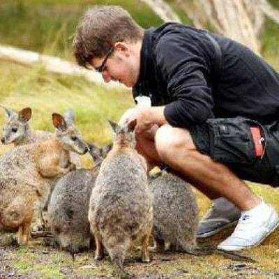 [月光之旅野生动物保护园-Koala Encounter抚摸考拉自拍照]邂逅考拉-不含门票