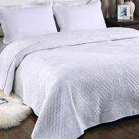 Chăn mới châu Âu ba mảnh hai mặt quilting giường bông đơn giản quilting được thêu chăn bông đệm giường - Trải giường ga giường chống thấm nước