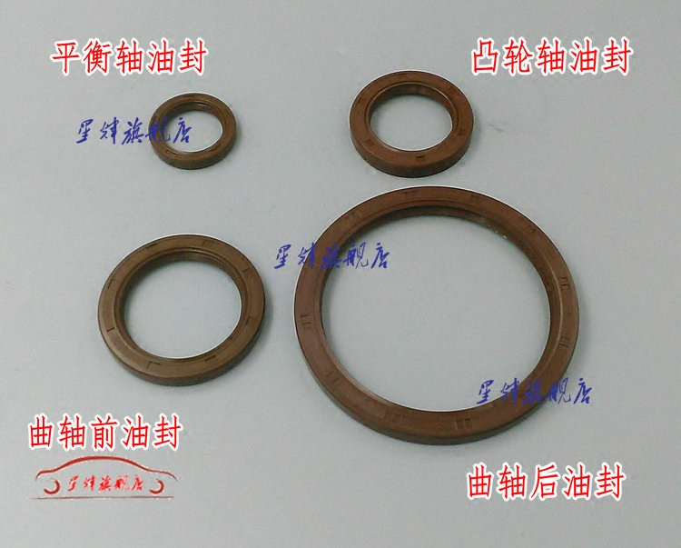 双环SCEO曲轴凸轮轴平衡轴油封