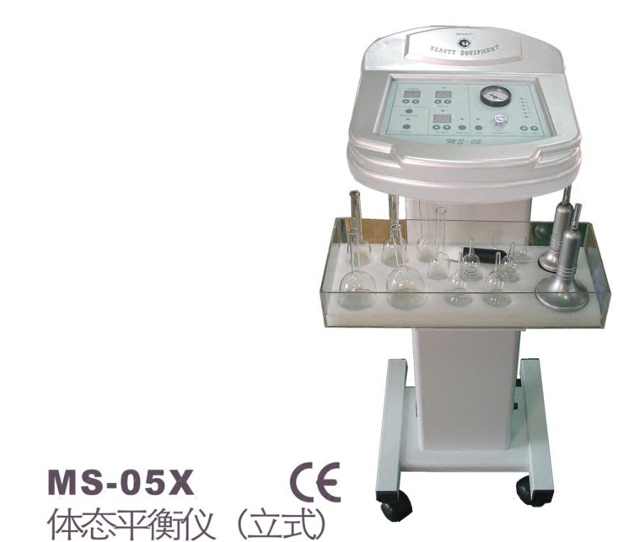 East TIANYANG Treasure quality goods Safeguard Cost function vertical Metabolize Posture Balancer MS-05Xin the Personal Care/Health/Massage equipment , All kinds of accessories , Clean Beauty Tool Accessories , Other clean beauty accessories  category - from Buy2taobao.com to provide professional Taobao agent buy service