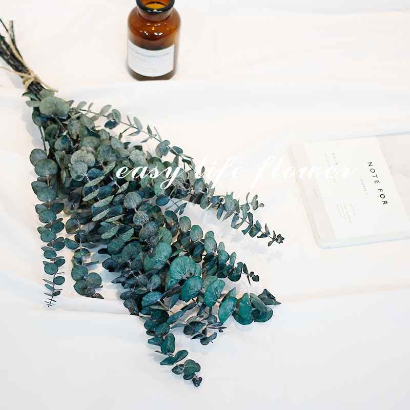 北欧永生花尤加利叶保鲜花植物插花文艺清新办公家居装饰摆拍道具在类目 家居饰品, 花瓶/花器/仿真花/仿真饰品, 干花/花瓣/干花包/干树枝中 - 来自Buy2taobao.com提供专业的淘宝代购服务