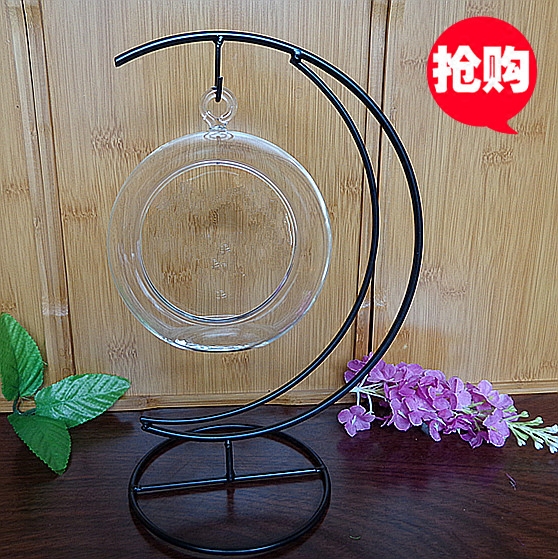 微景观植物花瓶苔藓瓶吊瓶圆球