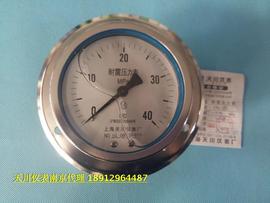 上海天川仪表yn-100zt轴，向带边耐震压力表油压，液压轴向水汽油