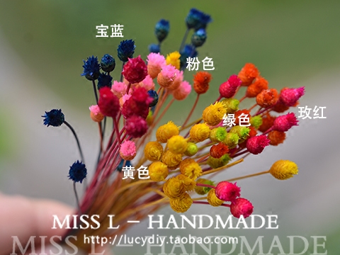 清仓处理 ch18 玻璃罩专用填充物 纯天然干花 快乐花 10朵1包