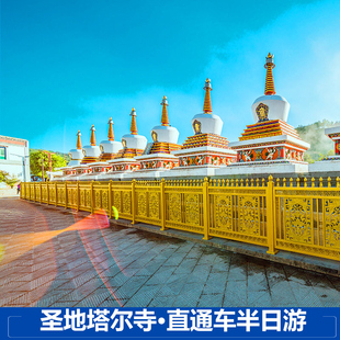 市区出发直达景区青海旅游西宁塔尔寺直通车一日游 半日游