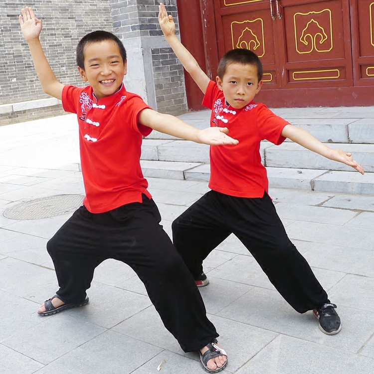 清仓纯棉刺绣武术T恤中国风