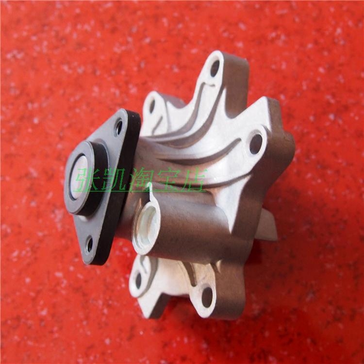 腾翼C30/C20R炫丽发动机水泵