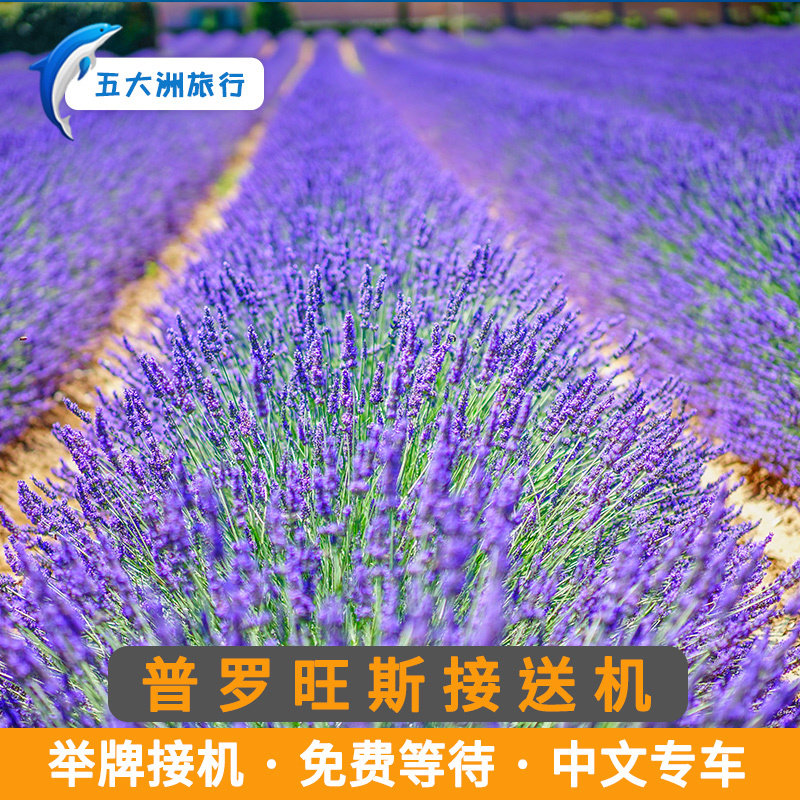五大洲 法国旅游普罗旺斯接送机克特阿祖尔机场举牌接机送机