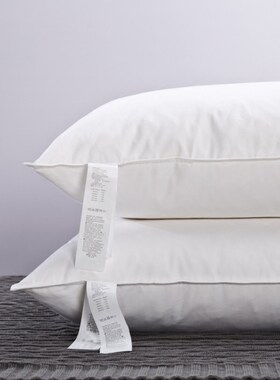 外贸单品极简北欧水鸟毛枕芯枕头