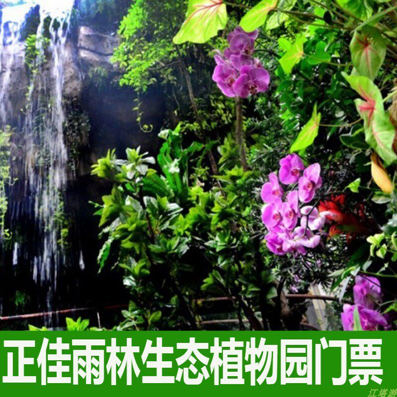 [正佳雨林生态植物园-大门票]广州正佳广场正佳热带雨林门票电子票