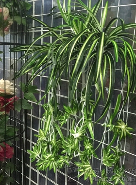 仿真花艺假花 吊兰花 绿色植物吊兰花壁挂家居客厅装饰花挂壁花艺