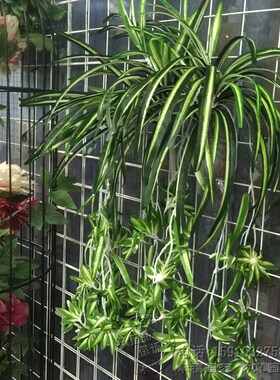 仿真花艺绿色植物家居客厅装饰