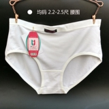 Slip jeunesse simple en coton - Ref 642794 Image 17