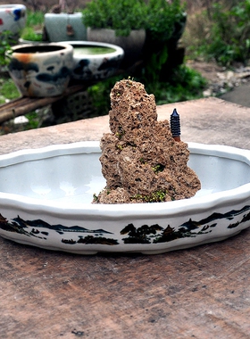 景德镇多肉植物上水石特价包邮