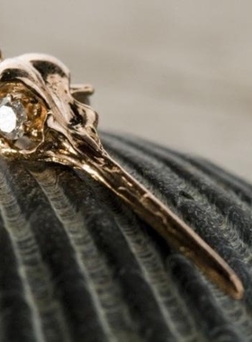 美国代购手作蜂鸟嘴眼睛骷髅项链