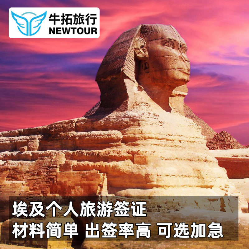 埃及落地签个人旅游签证商务可加急专人指导