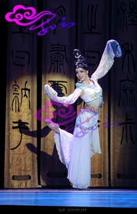 直销茹芸舞台演出服装桃李杯古典舞玉人舞舞蹈服装量身定做