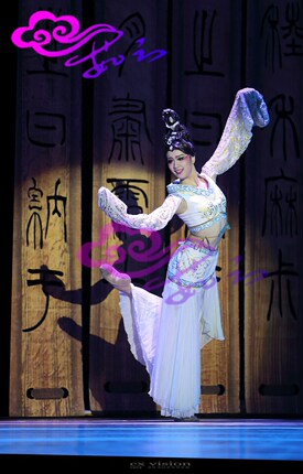 直销茹芸舞台演出服装桃李杯古典舞玉人舞舞蹈服装量身定做