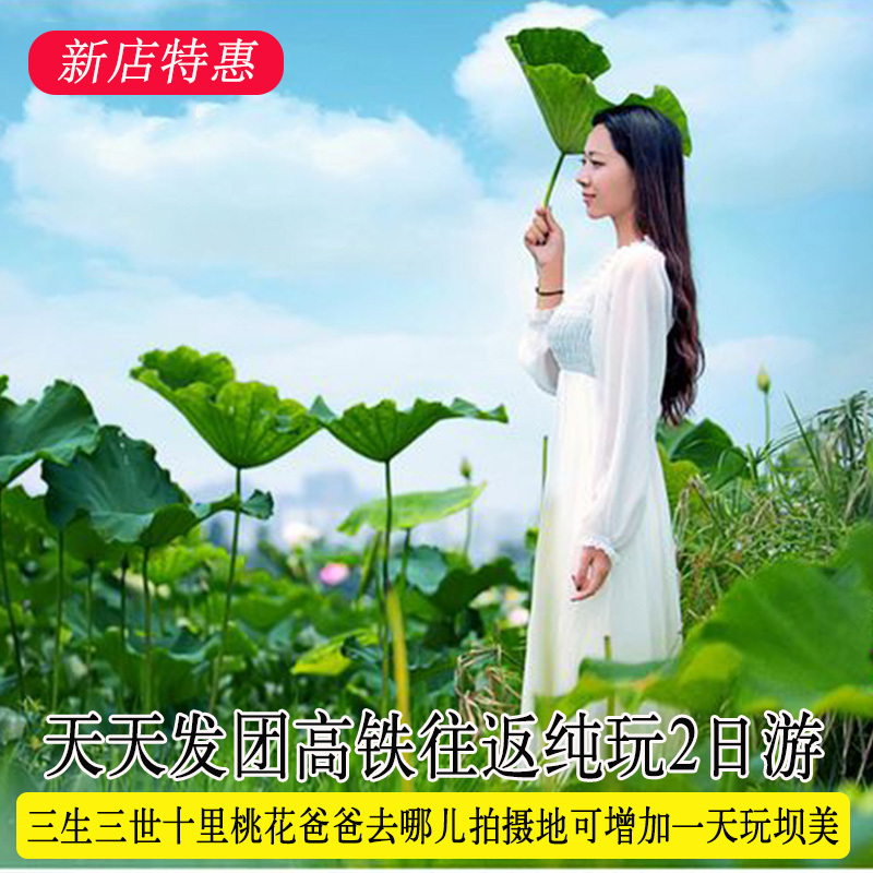 普者黑坝美2天1晚纯玩团 天鹅湖二日游 高铁往返景区门票包车旅游