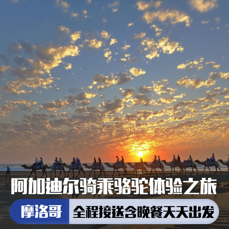 摩洛哥 阿加迪尔骑骆驼体验之旅(骑骆驼 可选烧烤晚餐 接送)