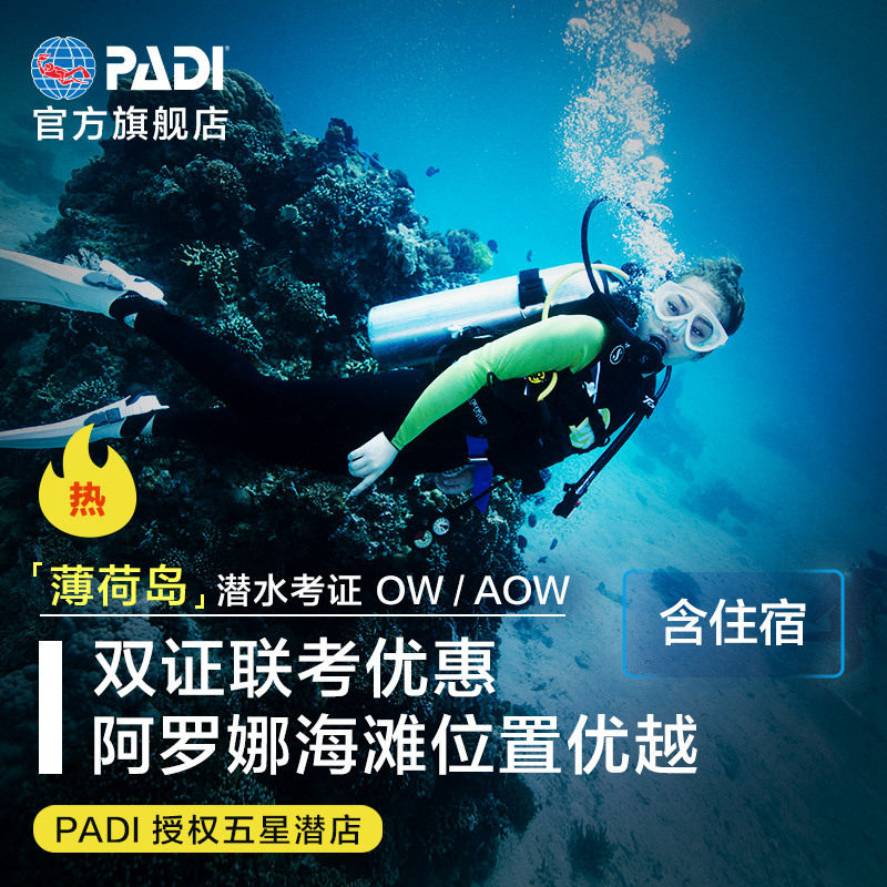 菲律宾薄荷岛王者padi潜水员ow Aow潜水考证深潜中文培训含住宿 Padi潜水旗舰店