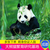 大熊猫繁育研究基地大门票成都大熊猫基地熊猫基地繁育基地