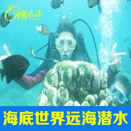 亚龙湾海底世界-远海开放水域，潜水亚龙湾海底世界远海潜水票