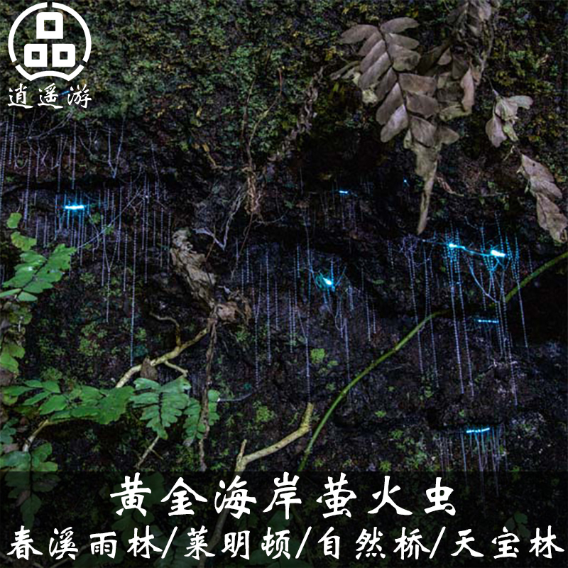 【醉美萤火虫】热带雨林，奇幻洞穴观萤火虫，体验浩瀚银河奇妙感觉！【花式选择】白/夜赏萤火虫可选，还可升级酒庄品酒、主题公园玩乐！【可急单】可订当日，无任何加急费用！【懒人服务】提供雨衣、手电，风趣幽默的中文服务