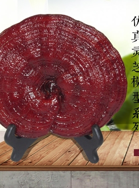 灵芝模型摆件观赏药材仿真工艺品