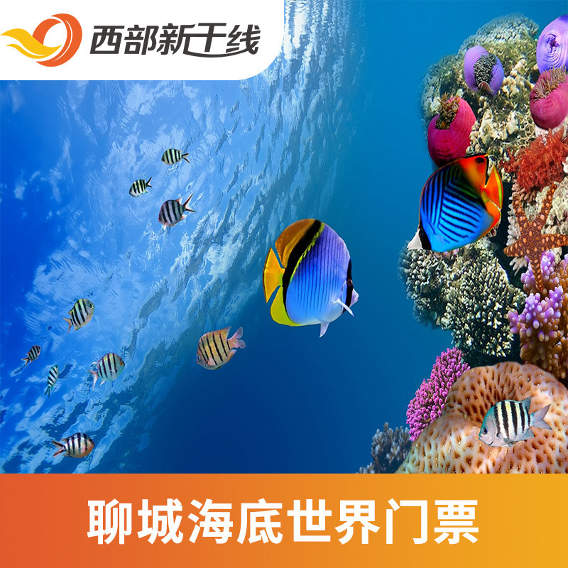 [聊城海底世界-大门票]聊城海底世界门票