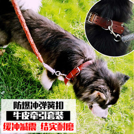 大型犬牵引绳防爆冲狗项圈金毛，哈士奇狗链子遛狗，绳牵引带牛皮加粗