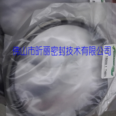 意大利原装进口斯特封gcr活塞杆专用密封圈新品火热销售中