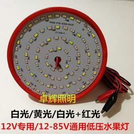 LED低压生鲜灯12v48v60v夜市摆地摊电瓶猪肉水果卤菜海鲜熟食灯泡