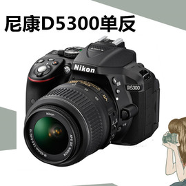 Nikon/尼康D5300套机18-55mm单反数码相机 专业单反WIFI GPS功能