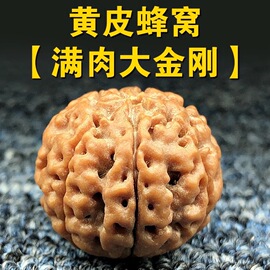 多瓣大金刚天然爆肉原籽大金刚，菩提子矮桩高密度6六7七8八瓣手串