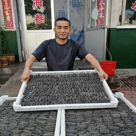 长岛野生老淡干海参干货 野生海参老工艺海参淡干 大连50g