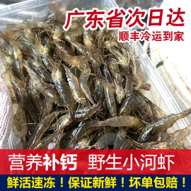 河虾鲜活新鲜冷冻海鲜水产，潮汕狗仔虾仁，青虾小土虾500g淡水小河虾