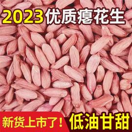 2023山东新鲜小瘪花生不带壳红衣，仁新鲜瘪花生，原味干瘪花生米零食