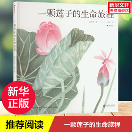 一颗莲子的生命旅程细品中国莲文化，5-6-7-8岁儿童自然植物科普绘本以国画绘出莲的生命轮回国风情怀一起感受生命之美